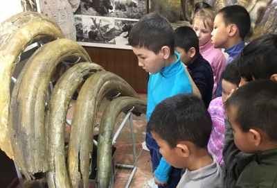 24.03.2017 года, наши дети ездили в краеведческий музей, где их познакомили с экспозицией о природе и животном мире Камчатки.
