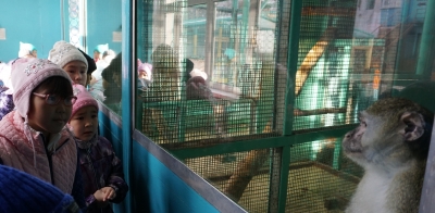 03.11.2017 года, воспитанники санаторной школы были с экскурсией в зоопарке.